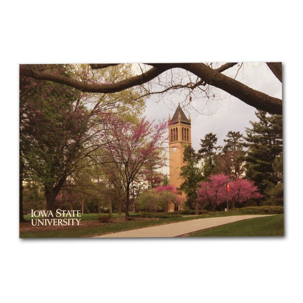 Iowa State University Campanile Postcard